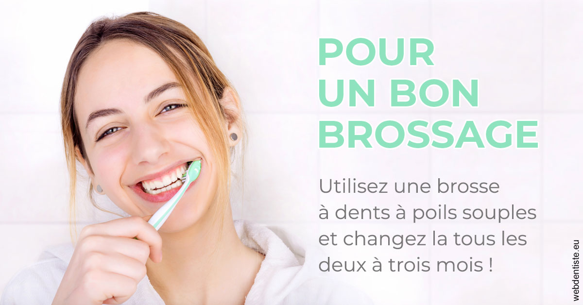 https://www.orthodontiste-vaud-geneve.ch/Pour un bon brossage 2