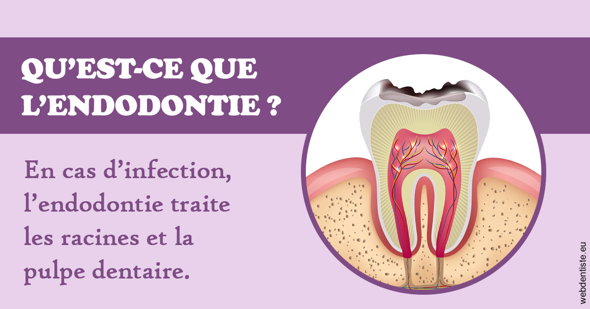 https://www.orthodontiste-vaud-geneve.ch/2024 T1 - Endodontie 02