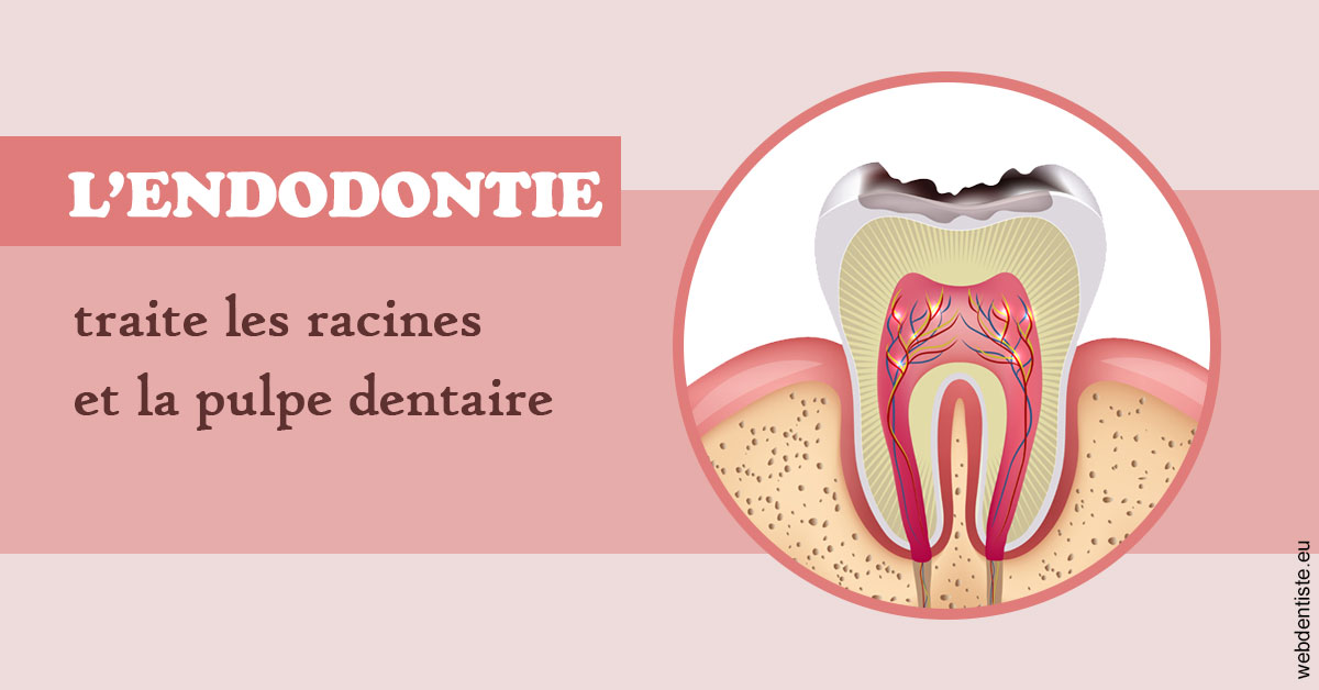 https://www.orthodontiste-vaud-geneve.ch/L'endodontie 2