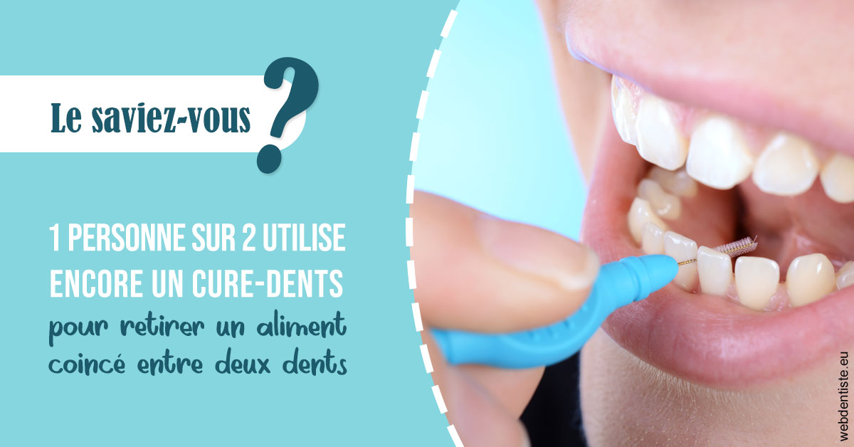https://www.orthodontiste-vaud-geneve.ch/Cure-dents 1