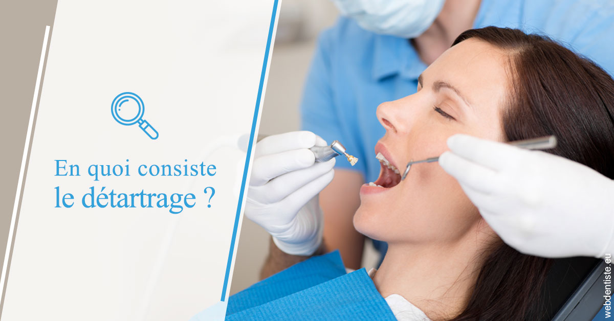 https://www.orthodontiste-vaud-geneve.ch/En quoi consiste le détartrage