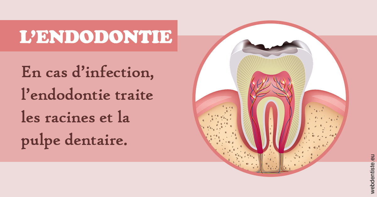 https://www.orthodontiste-vaud-geneve.ch/L'endodontie 2